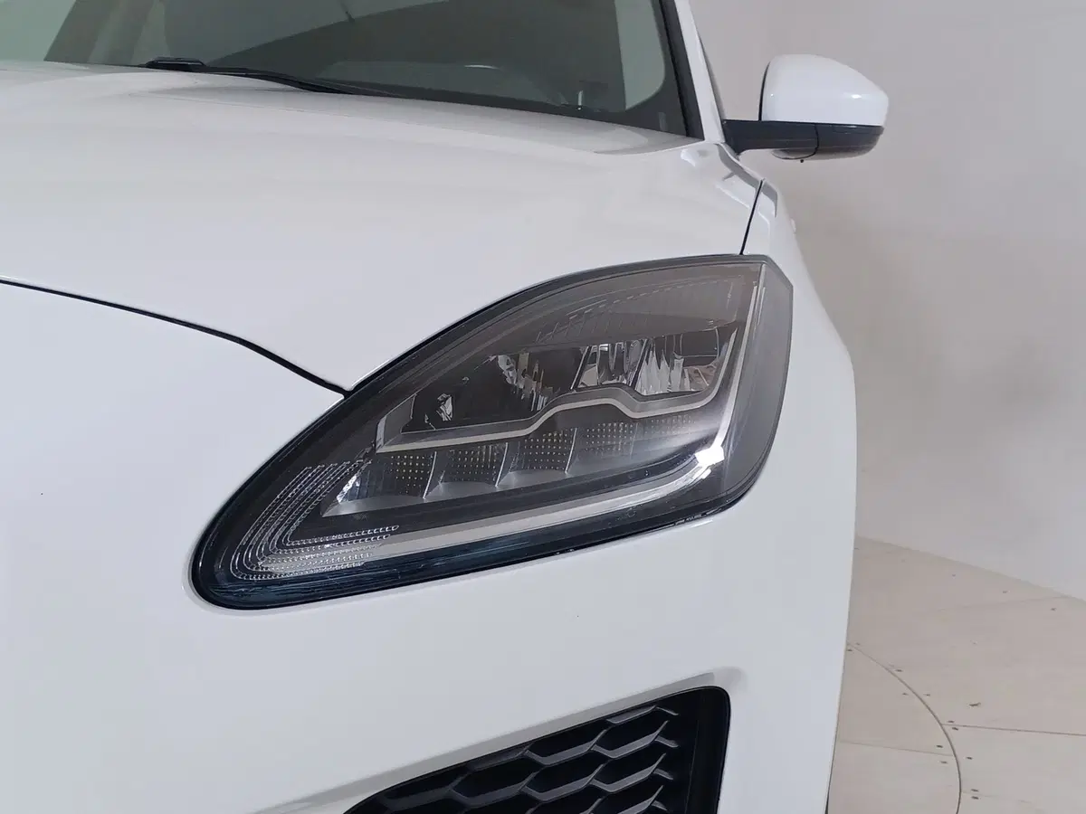 Jaguar E-Pace usata a Torino (18)