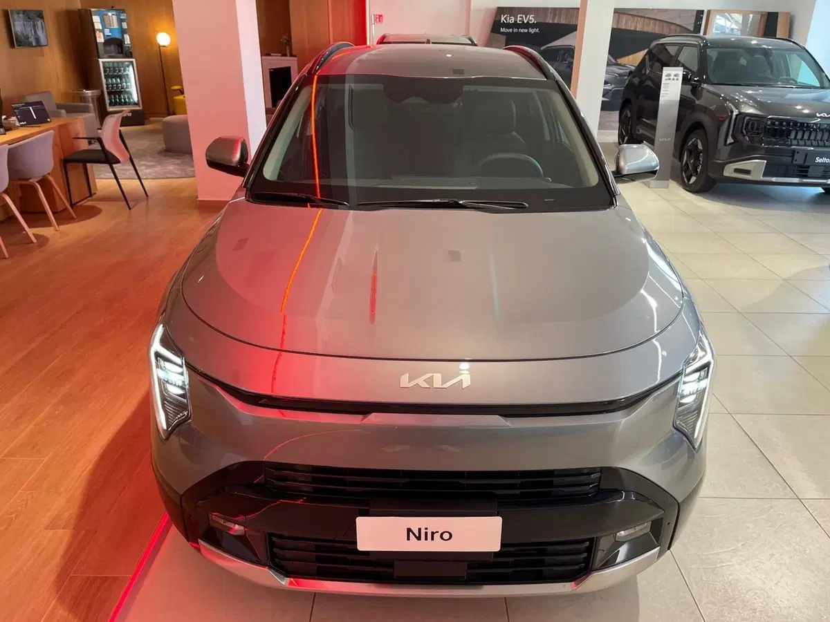 Kia Niro nuova a Napoli (3)