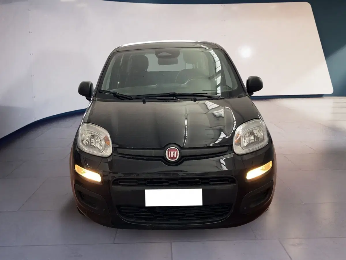 Fiat Pandina usata a Torino