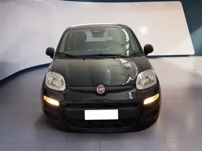 Fiat Pandina 1.0 firefly hybrid s&s 70cv del 2025 usata a Torino