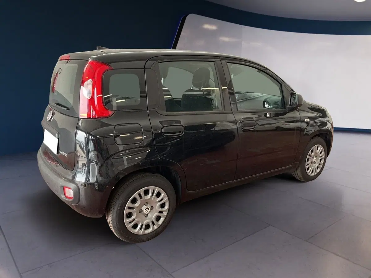 Fiat Pandina usata a Torino (6)
