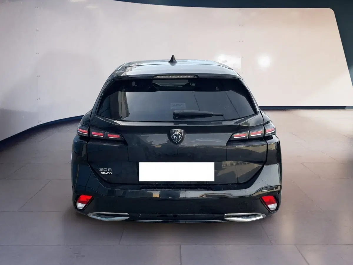 Peugeot 308 SW usata a Torino (5)