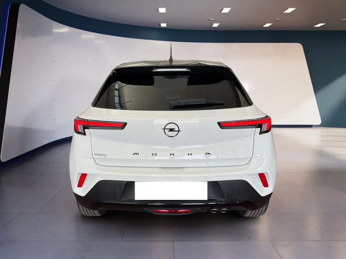 Opel Mokka usata a Torino (5)
