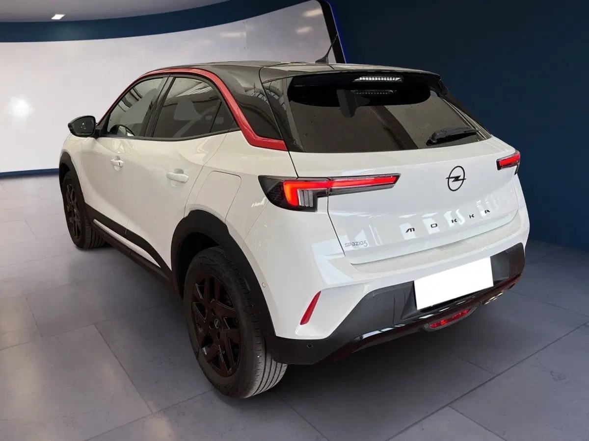 Opel Mokka usata a Torino (6)