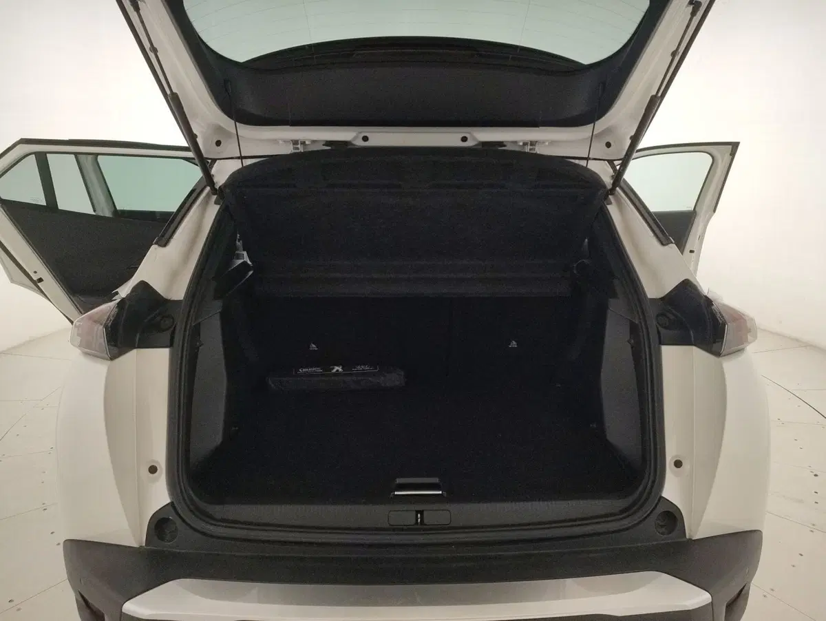 Peugeot 2008 usata a Alessandria (11)