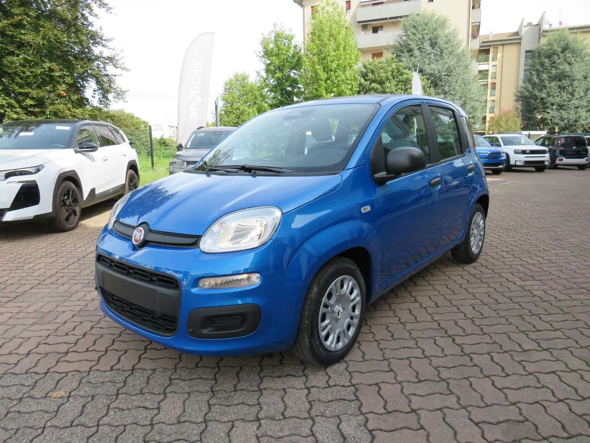 Fiat Pandina nuova a Monza e Brianza (5)