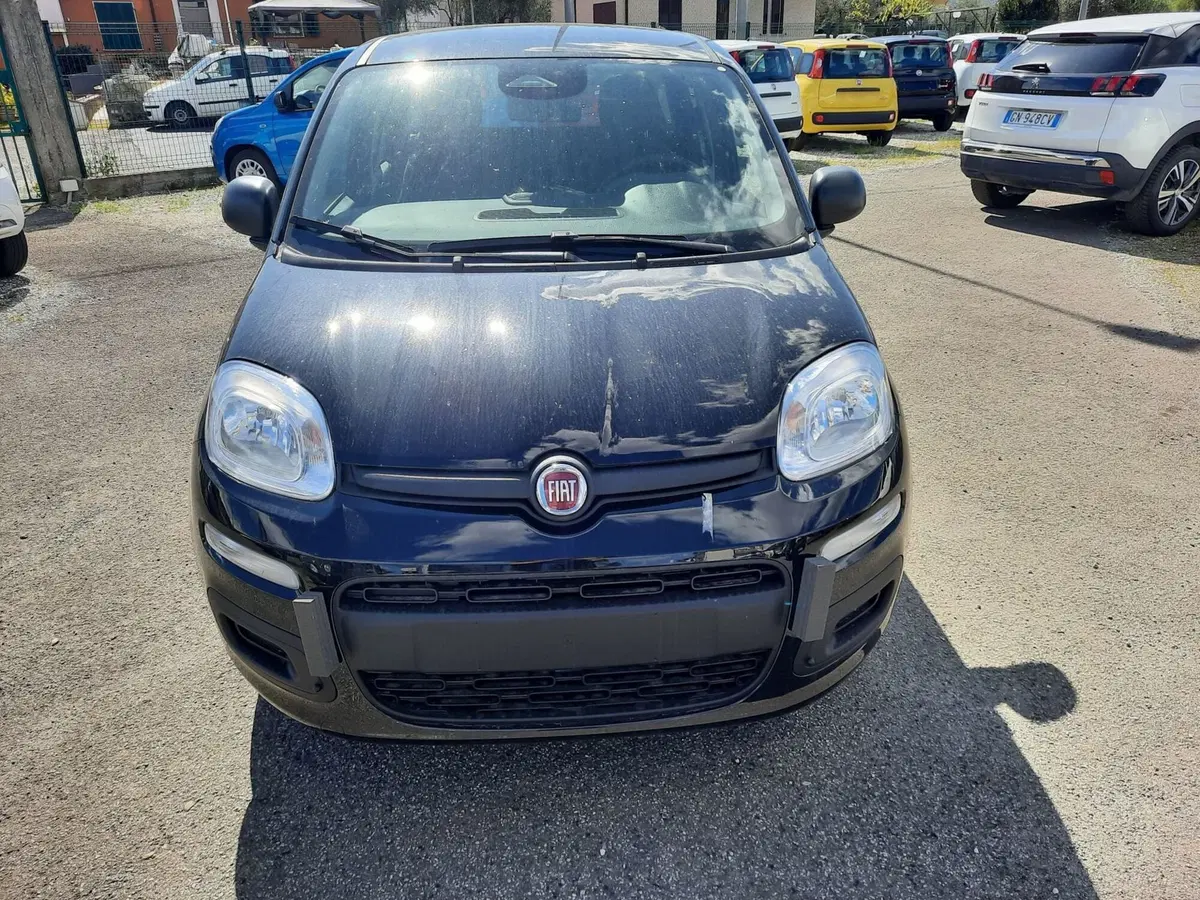 Fiat Pandina nuova a La Spezia (2)