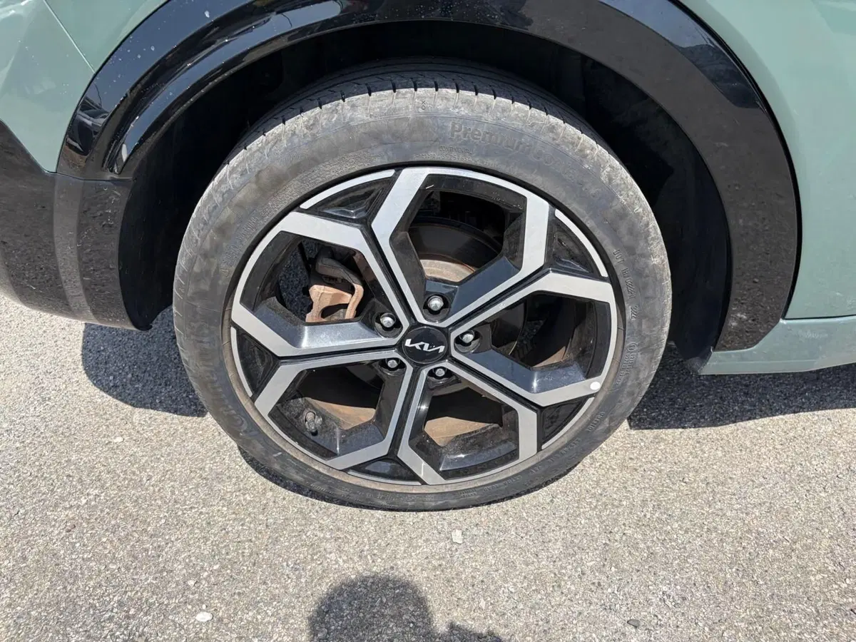 Kia Niro usata a La Spezia (9)