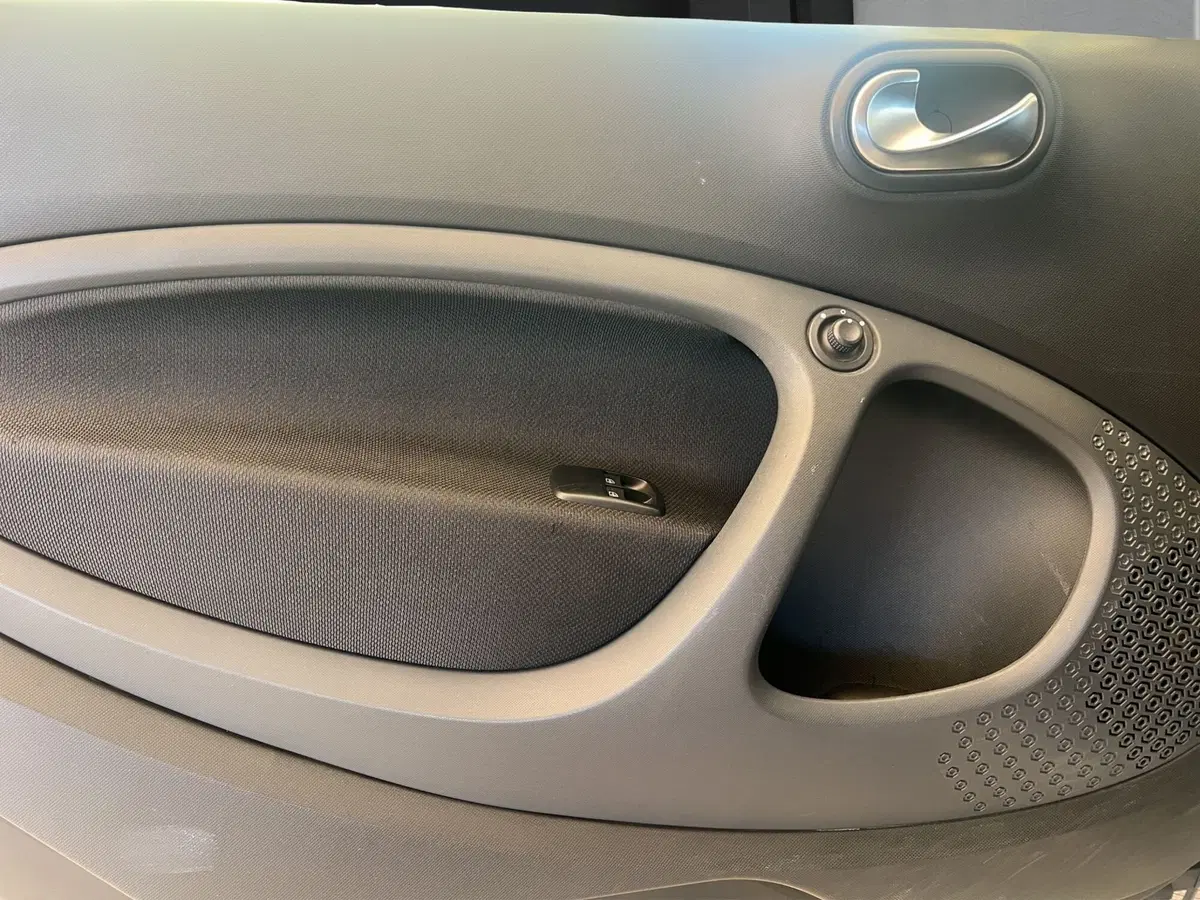 smart Fortwo usata a Cosenza (12)