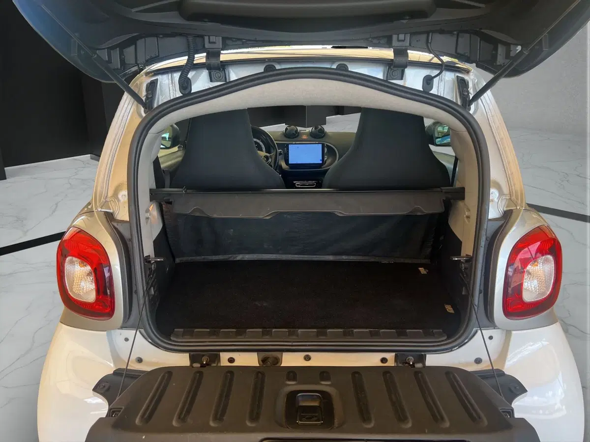 smart Fortwo usata a Cosenza (18)