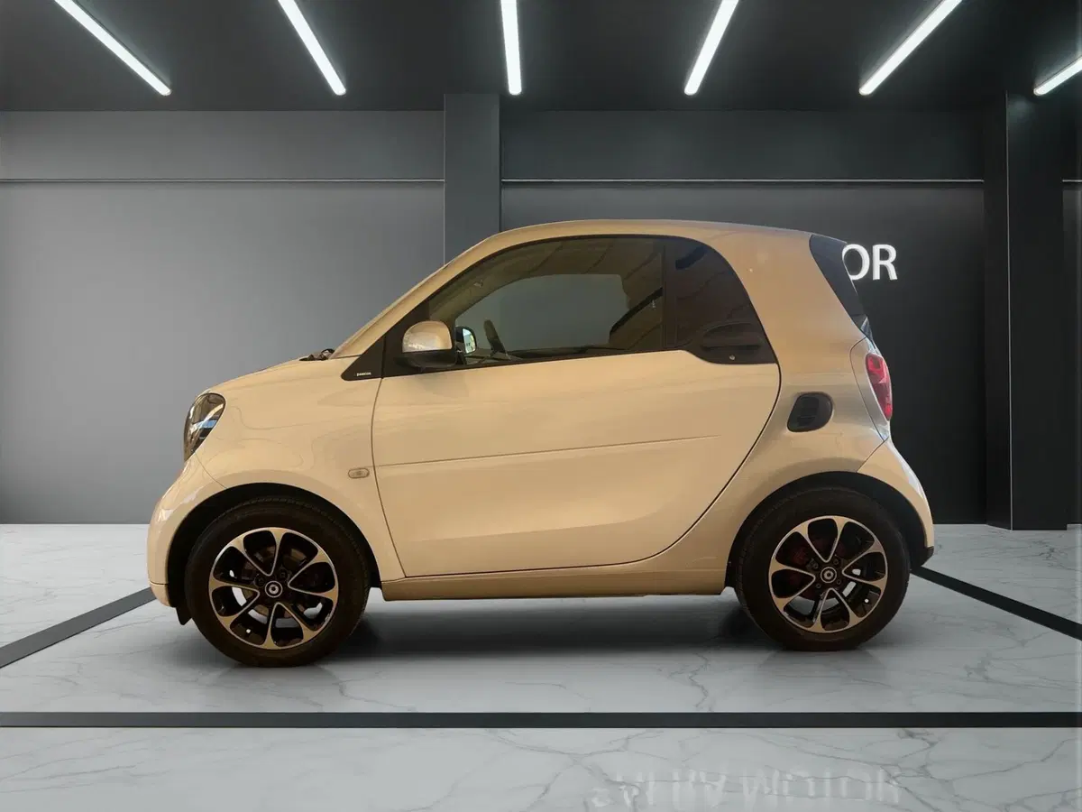 smart Fortwo usata a Cosenza (3)
