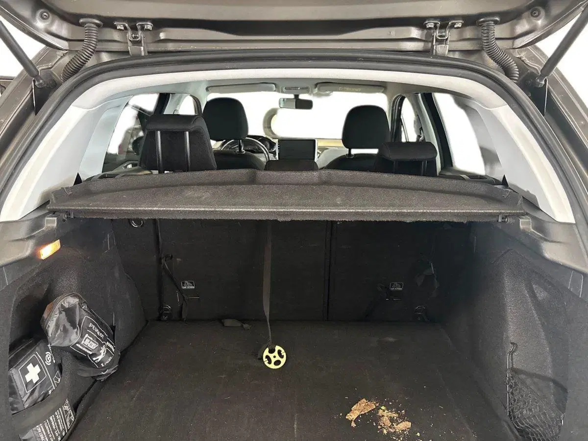 Peugeot 2008 usata a Torino (11)