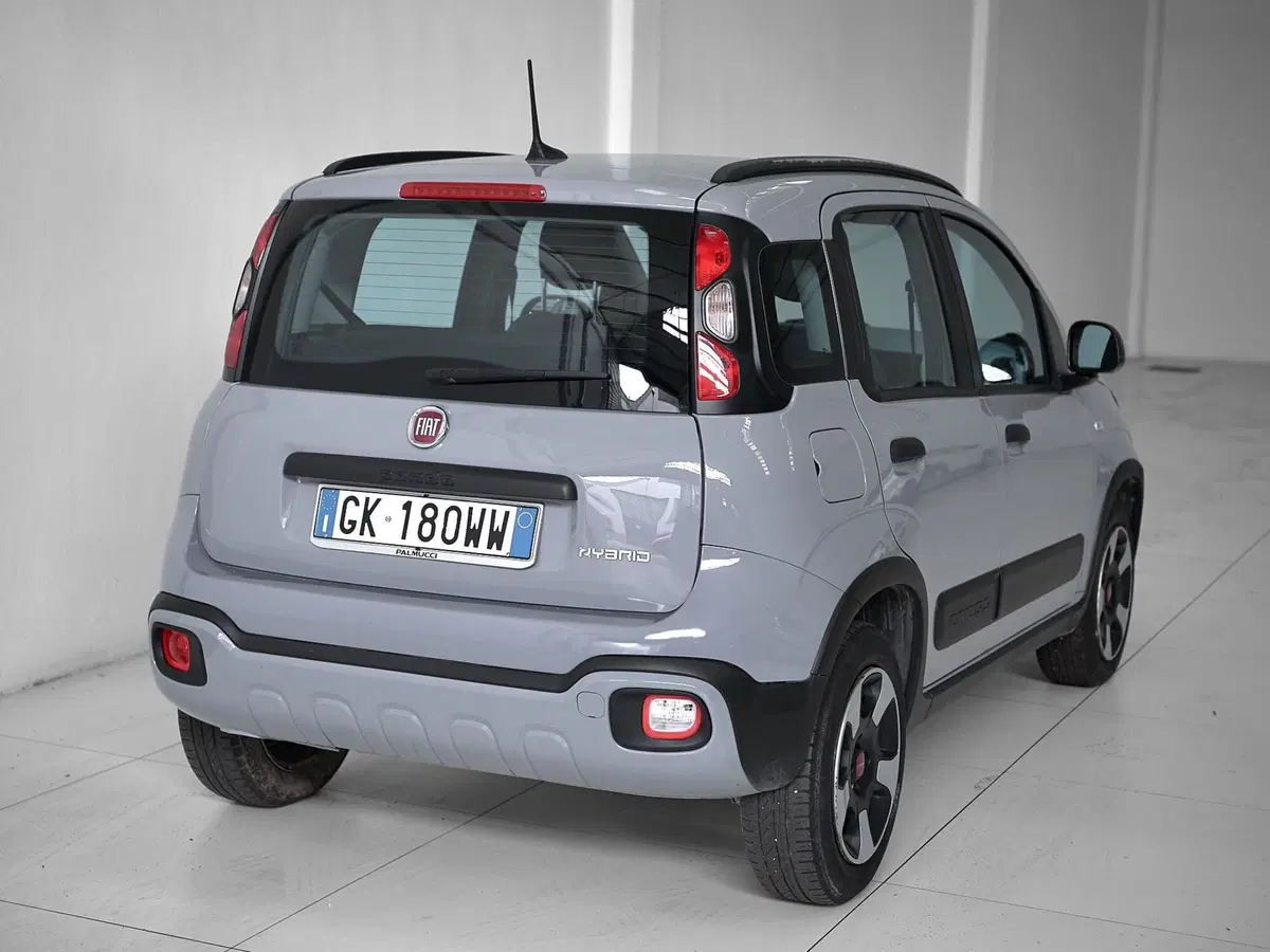 Fiat Panda Cross usata a Prato (10)