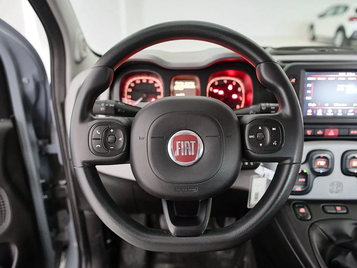 Fiat Panda Cross usata a Prato (11)
