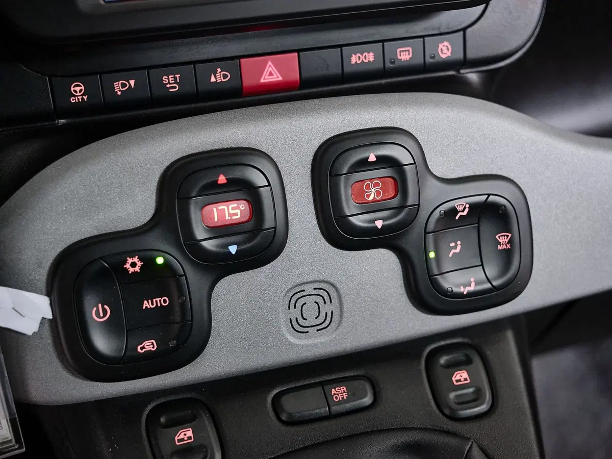 Fiat Panda Cross usata a Prato (18)