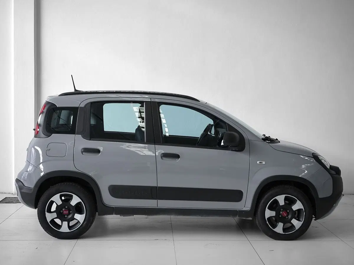 Fiat Panda Cross usata a Prato (7)