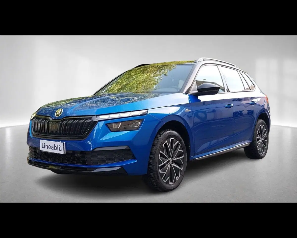 Skoda Kamiq usata a Forlì-Cesena