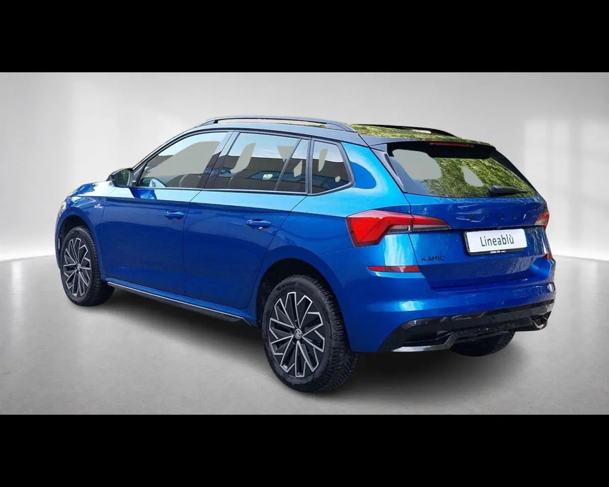 Skoda Kamiq usata a Forlì-Cesena (2)