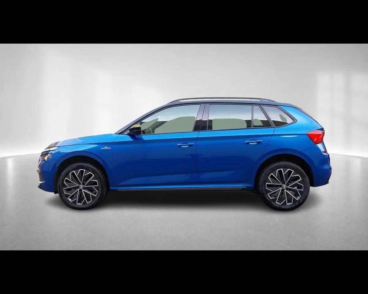 Skoda Kamiq usata a Forlì-Cesena (3)