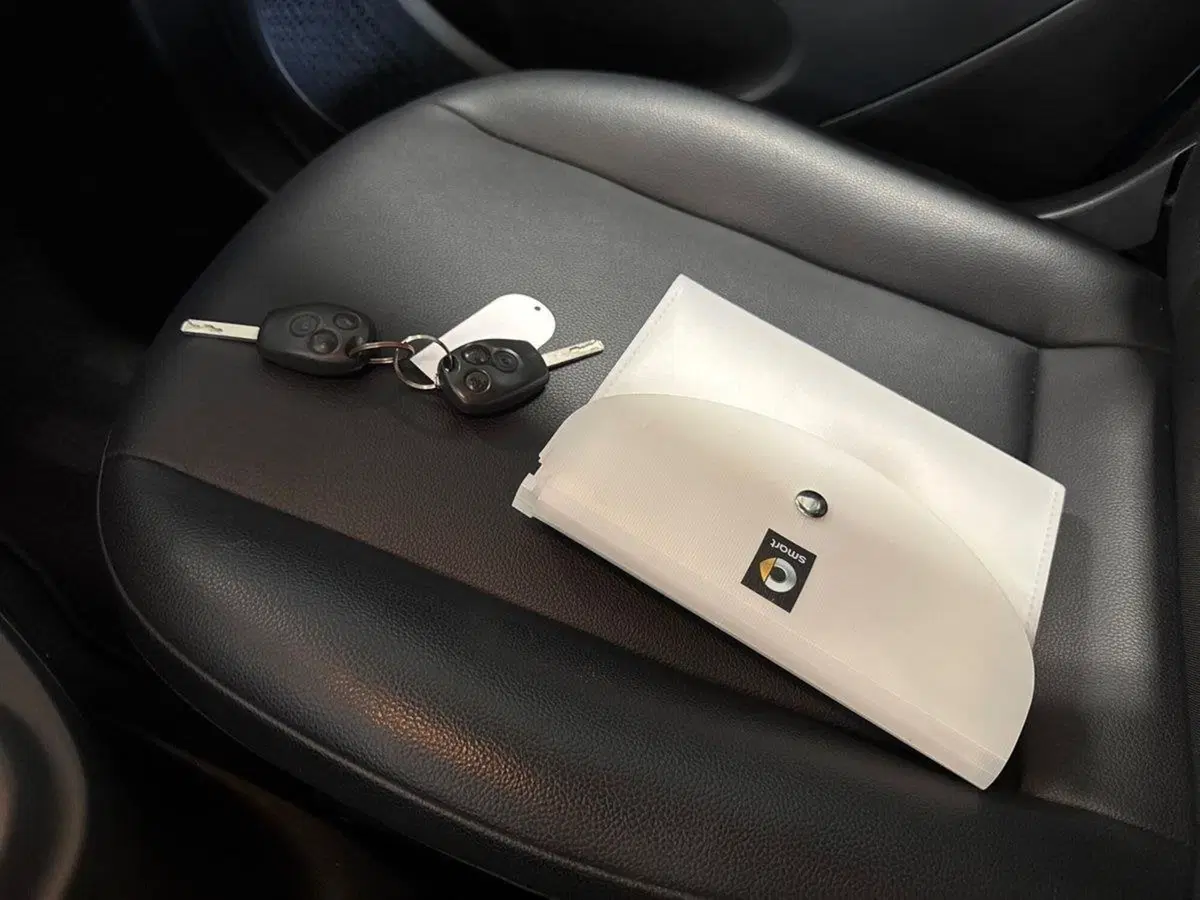 smart forfour usata a Prato (16)
