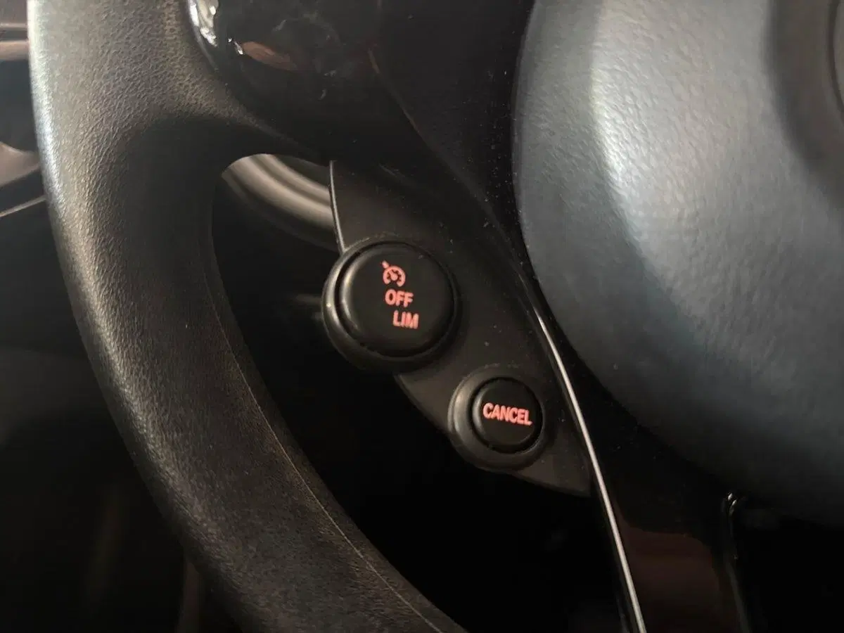 smart forfour usata a Prato (18)