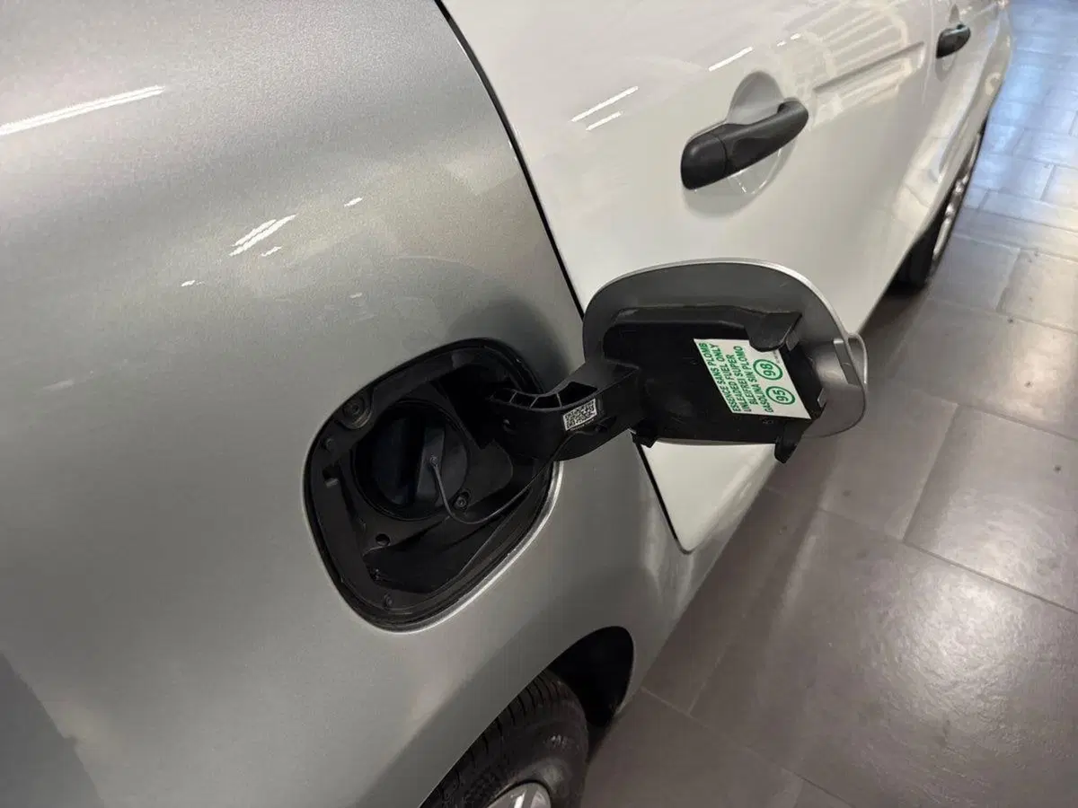 smart forfour usata a Prato (19)