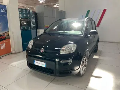 Fiat Panda 1.0 FireFly S&S Hybrid City Cross del 2022 usata a Altopascio