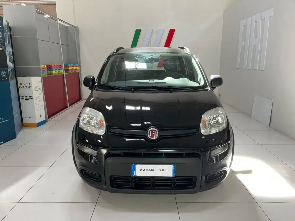 Fiat Panda usata a Lucca (2)