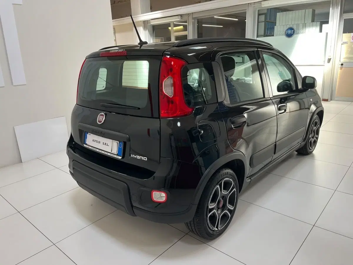 Fiat Panda usata a Lucca (4)