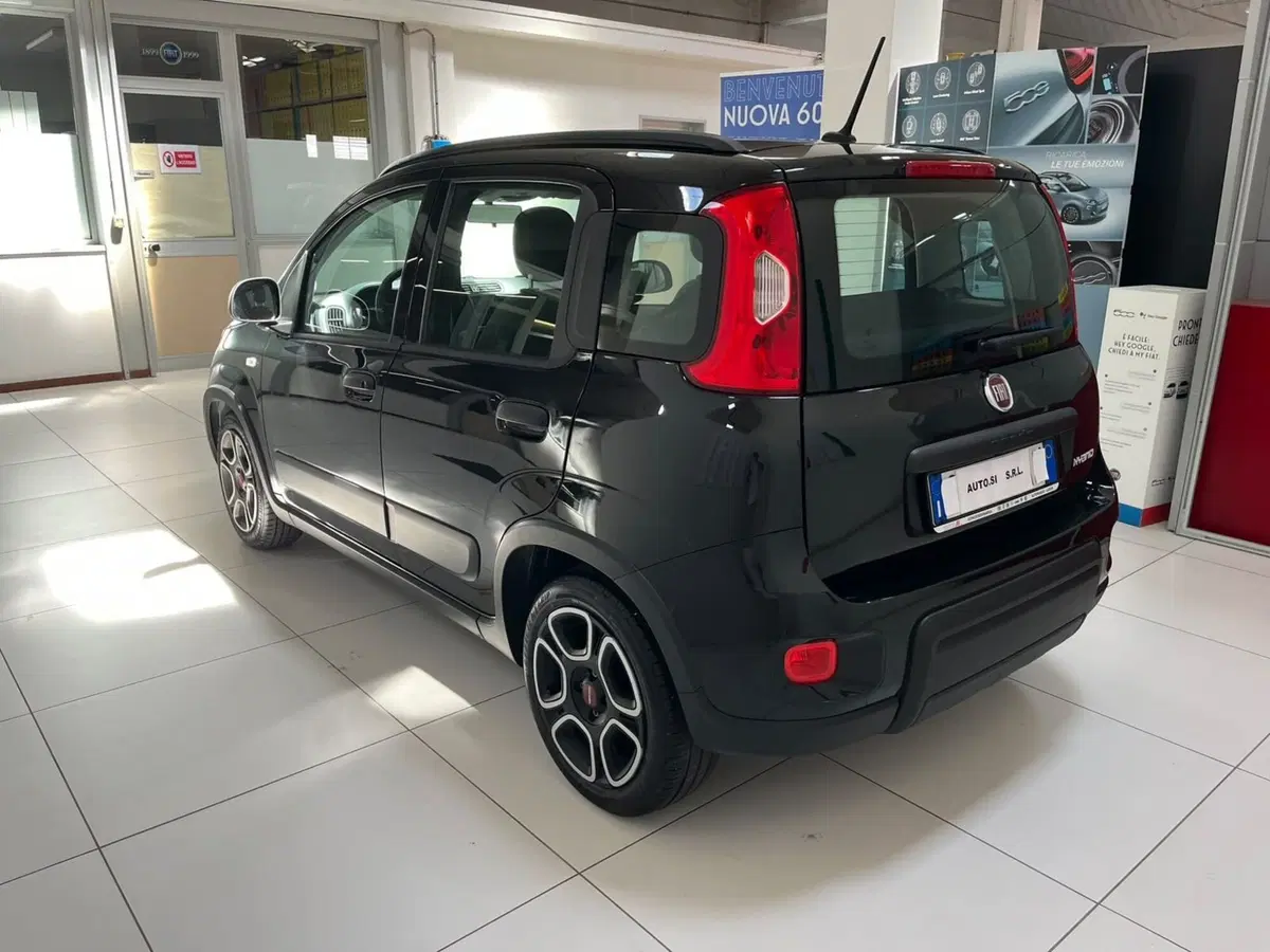 Fiat Panda usata a Lucca (6)