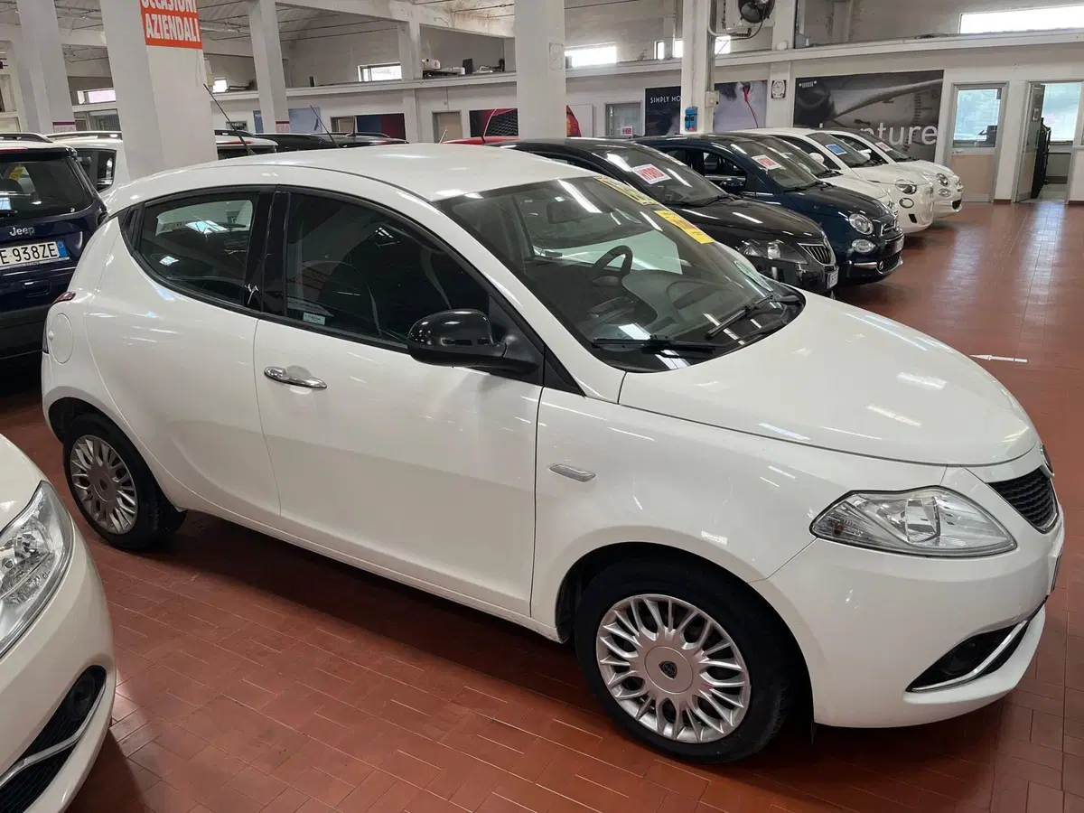 Lancia Ypsilon usata a Lucca (4)