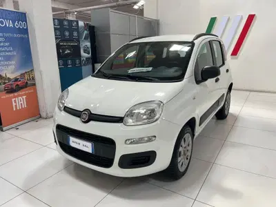 Fiat Panda 0.9 TwinAir Turbo Natural Power Easy del 2018 usata a Altopascio