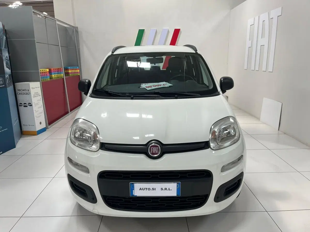 Fiat Panda usata a Lucca (2)