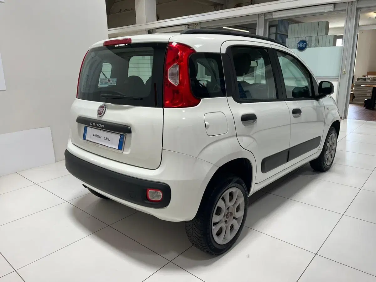 Fiat Panda usata a Lucca (4)