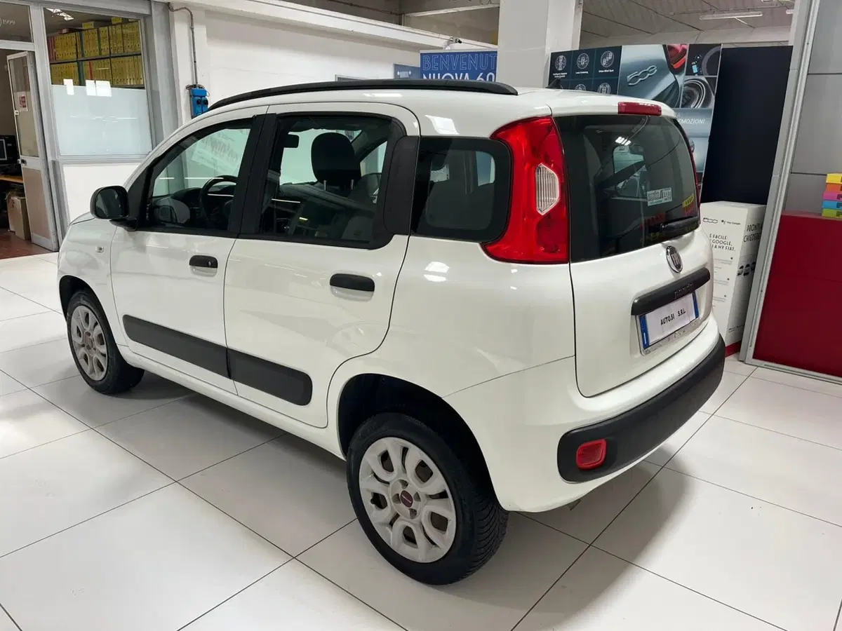 Fiat Panda usata a Lucca (6)