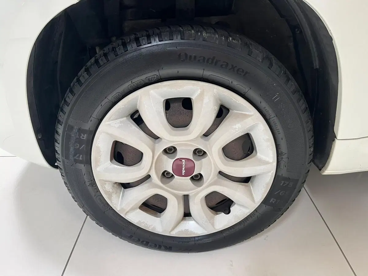 Fiat Panda usata a Lucca (7)