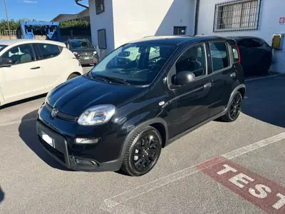 Fiat Panda Cross Cross 1.0 FireFly S&S Hybrid del 2023 usata a Altopascio