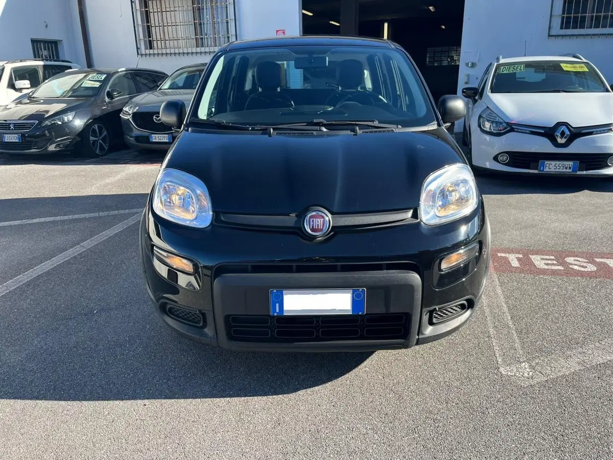 Fiat Panda Cross usata a Lucca (2)