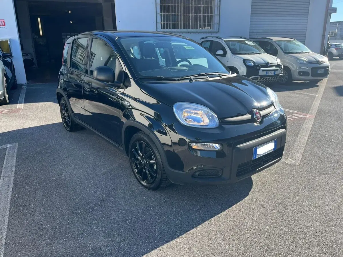 Fiat Panda Cross usata a Lucca (3)