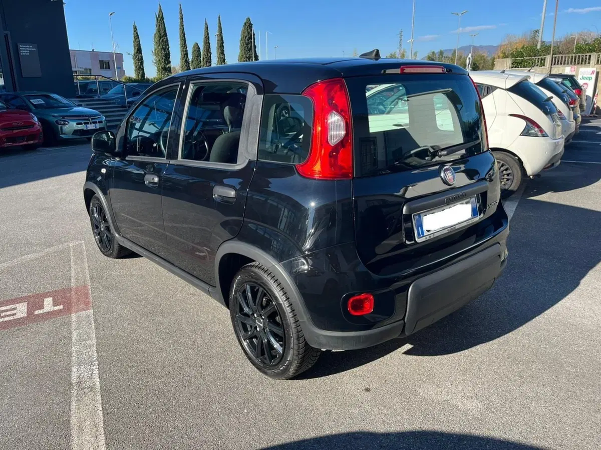 Fiat Panda Cross usata a Lucca (7)