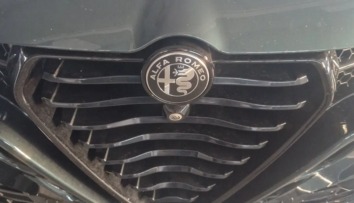 Alfa Romeo Tonale usata a Terni (19)