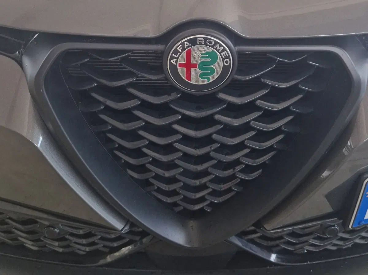 Alfa Romeo Tonale usata a Terni (20)
