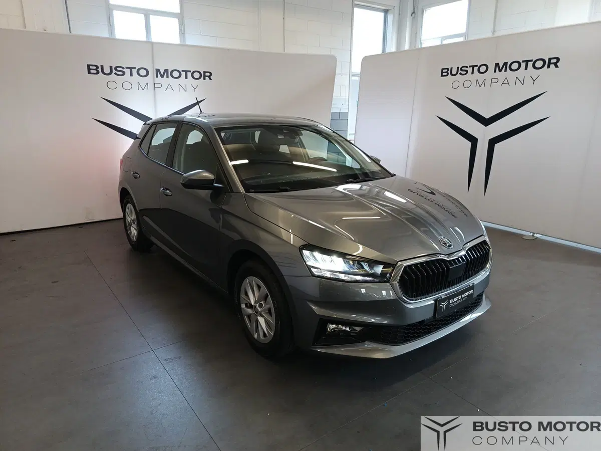 Skoda Fabia usata a Varese