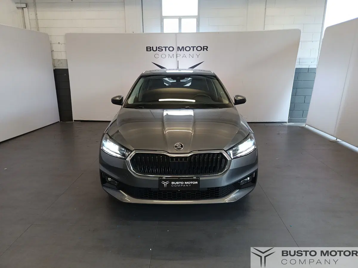 Skoda Fabia usata a Varese (2)