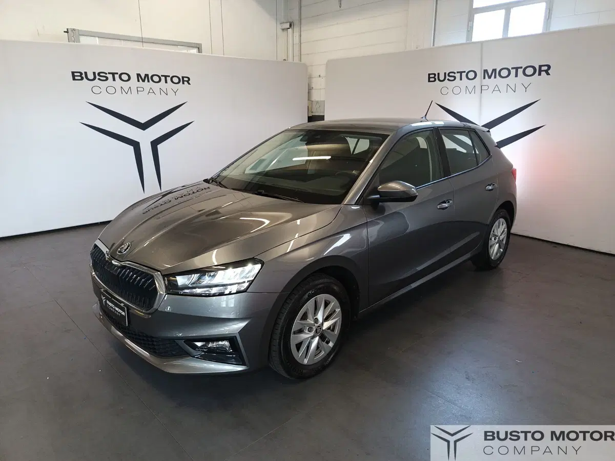 Skoda Fabia usata a Varese (3)