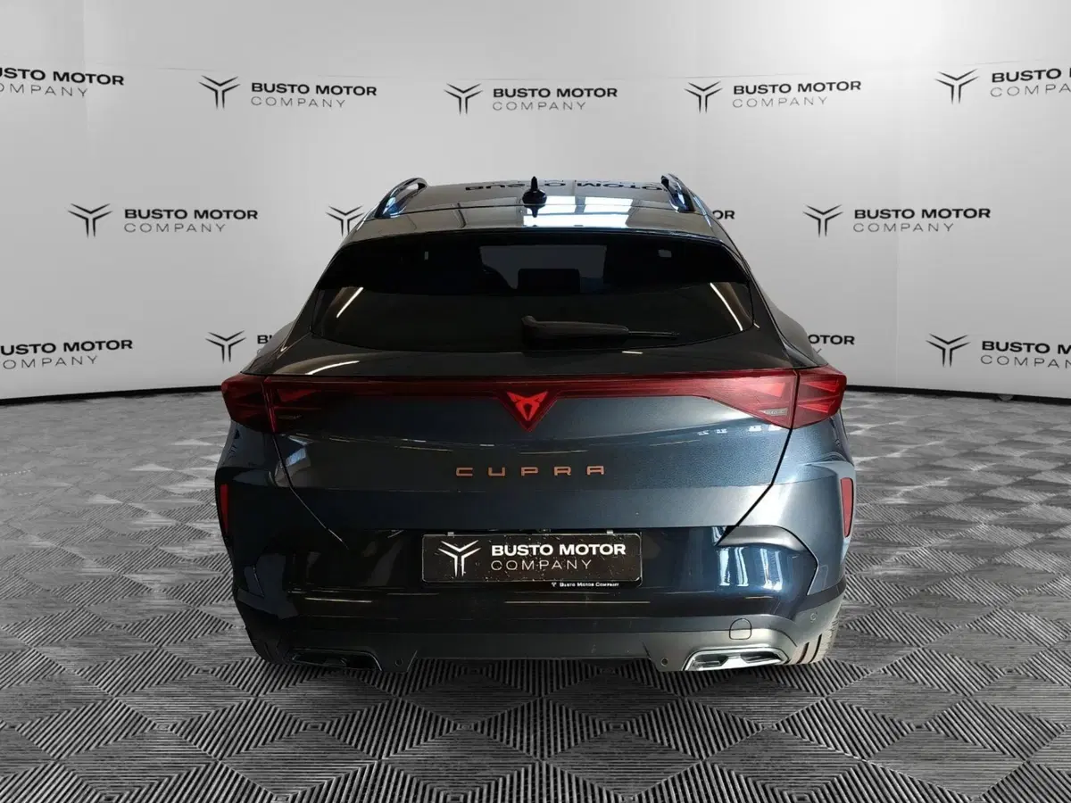 Cupra Formentor usata a Varese (5)