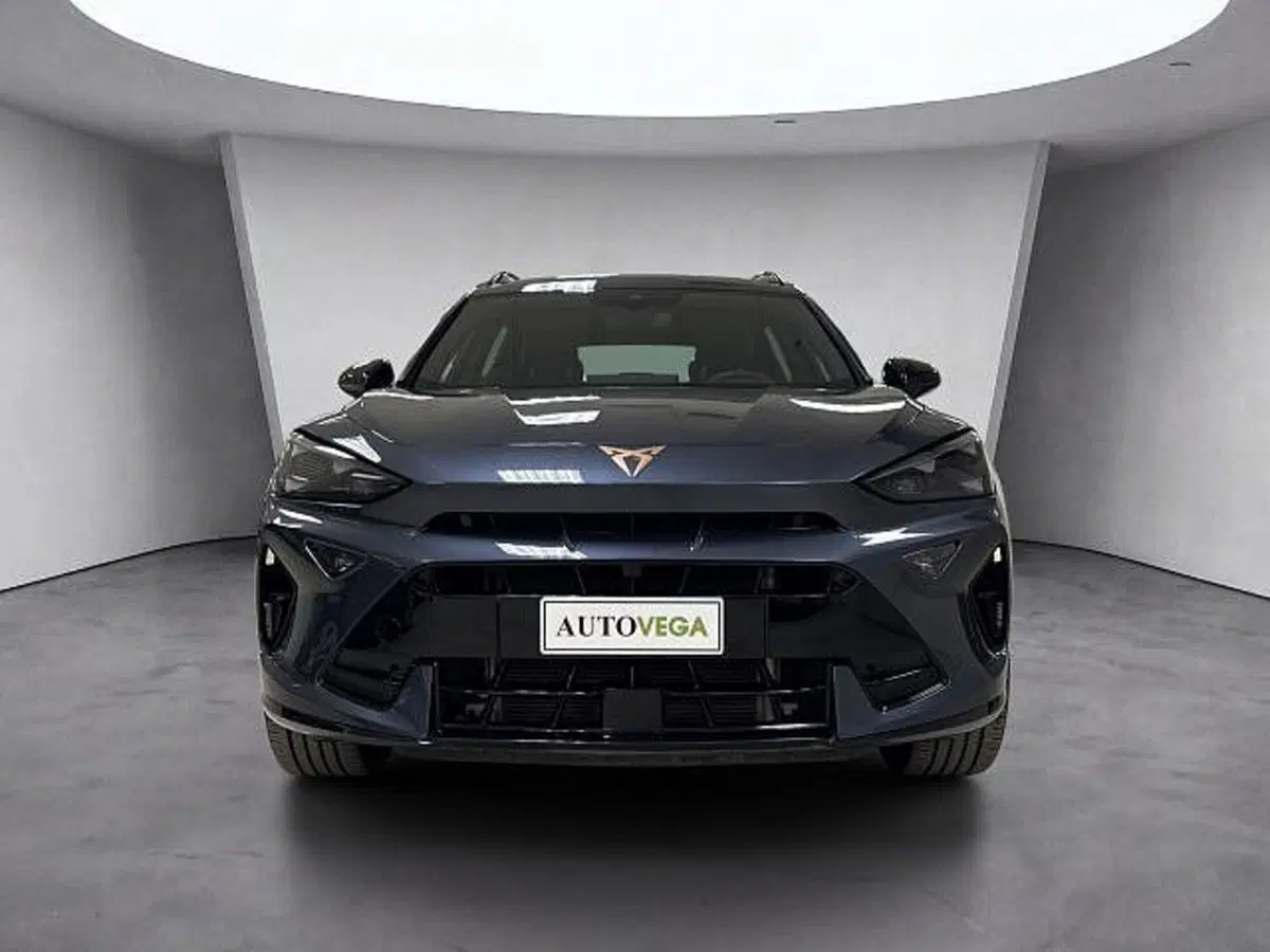 Cupra Formentor usata a Vicenza (2)