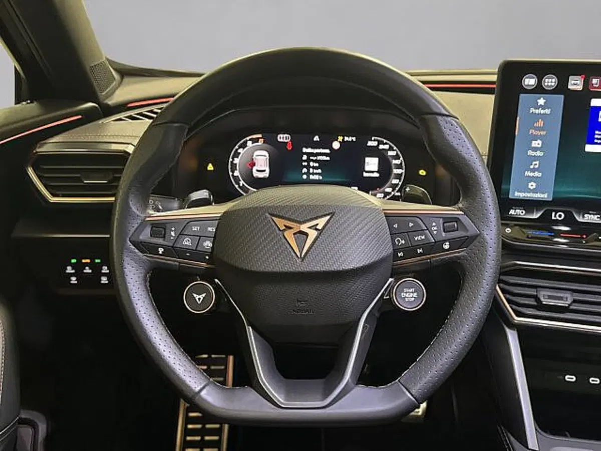 Cupra Formentor usata a Vicenza (9)