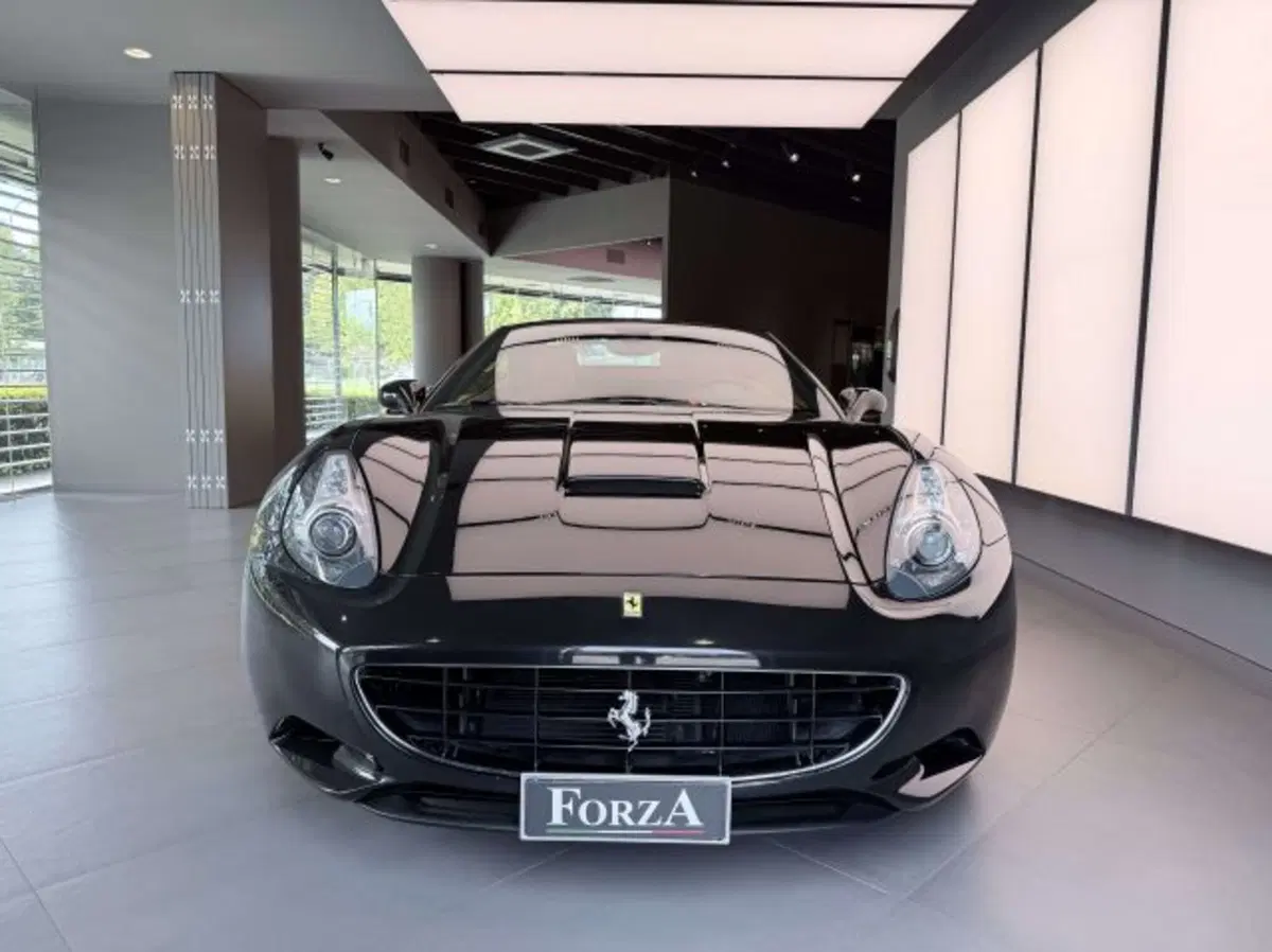 Ferrari California Spider usata a Torino (2)