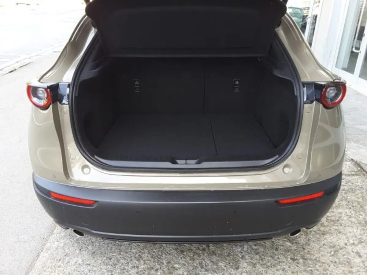 Mazda CX-30 usata a Firenze (15)